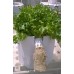 EZG Hybrid Aeroponics 14P
